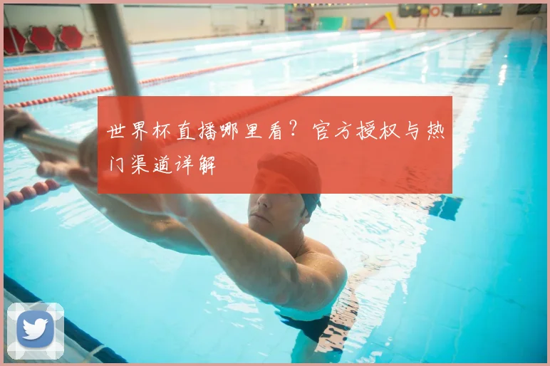 世界杯直播哪里看？官方授权与热门渠道详解