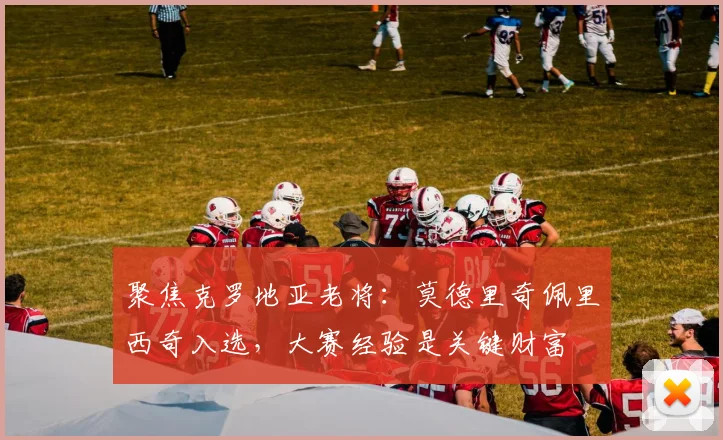 聚焦克罗地亚老将：莫德里奇佩里西奇入选，大赛经验是关键财富